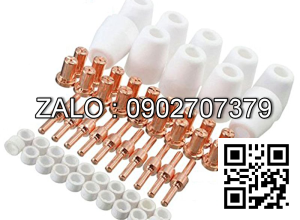 Sứ hàn tig 10N4*dài 49mm WP26 Số 4