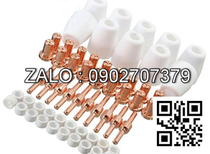 Sứ hàn tig 10N6*dài 49mm WP26 Số 8