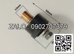 Giắc hàn đực kiểu Thái 10-25