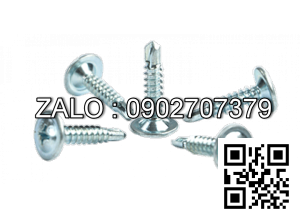 vít đuôi cá đầu dù 8*60mm