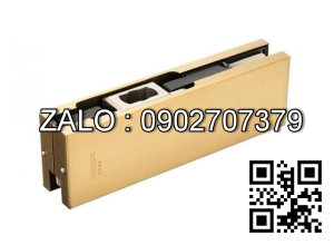 Kẹp kính Vickini 61100.001 MBG vàng xước mờ dưới