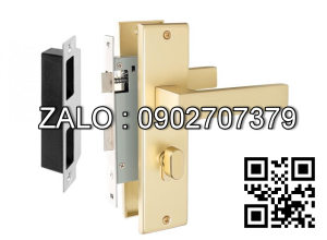 Khóa cửa phân thể VICKINI 34123.101 MSN