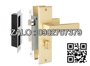 Khóa cửa phân thể VICKINI 34750.101 GYM-AC