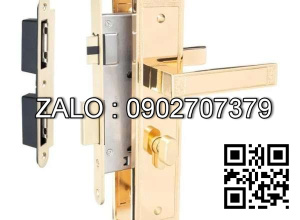 Khóa cửa nẹp VICKINI 38578.101 K24 mạ vàng K24