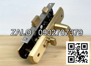 Khóa tay nắm phân thể Huy Hoàng HCX 5866