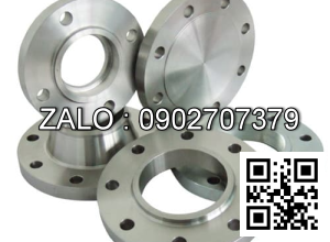 Mặt Bích Tiêu Chuẩn JIS 16K DN300 DN24