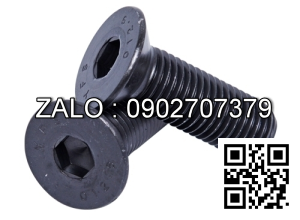 Bulong M20x120mm, ren lửng