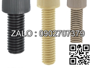 Bulong nhựa đầu lục giác chìm PEEK M6 ×1.0 × 12 mm