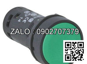Nút nhấn nhả màu xanh XB7NA31 1NO