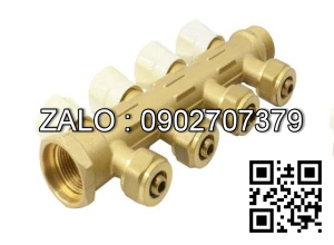 Van bi thau ren trong và ren ngoài 8 ngã DN15