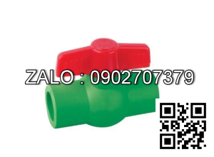 Van bi nhựa PPR 2 đầu sử dụng ống phi 110