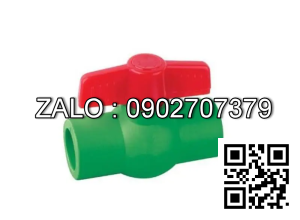 Van bi nhựa PPR 2 đầu sử dụng ống phi 75