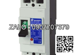 MCCB 2P BM100SN2P100A