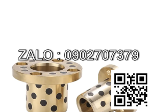 Bạc Đồng Tự Bôi Trơn Mặt Bích MPGZ 60x80x65