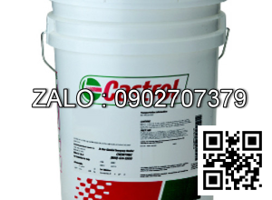 Castrol Rustilo DWX 22