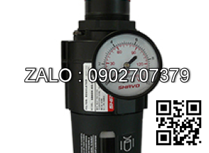 Air Filter / Regulator SB60
