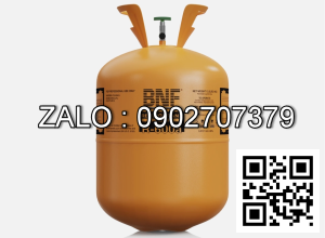 Bình gas lạnh BNF R600A 10.9 kg