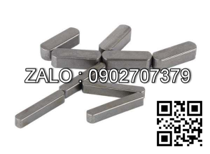 Chốt Lavet 16*16*50mm Inox (then bằng)