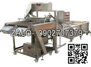 MÁY RỬA QUẢ DẠNG CON LĂN BÀN CHẢI P-QXL03