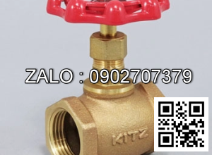 Van Cầu Điều Khiển Điện 220v AC , On Off – Tuyến Tính