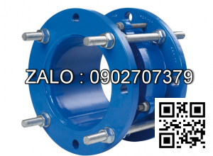 Khớp Nối BB DN250