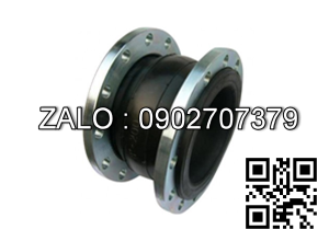 Khớp Nối Mềm BF01 DN125