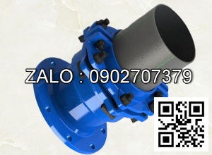 Khớp Nối BF DN700