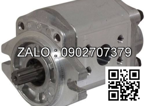 HYDRAULIC PUMP 110F7-10501 TC