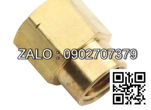 Nối giảm thau DN10xDN6