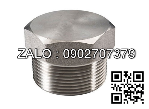 Nút bịt ren ngoài Inox 304 1/4