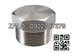 Nút bịt ren ngoài Inox 304 3