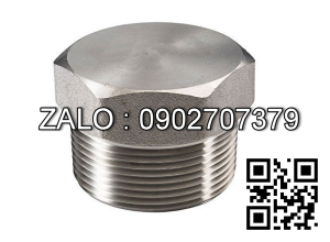 Nút bịt ren ngoài Inox 304 DN50