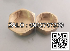 Nút bịt ren trong thau 5