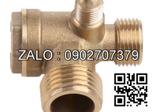 Co điếu ren trong Inox 304 DN06