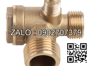 Co điếu ren trong Inox 304 DN50