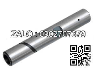 Ắc dí 22N54-32261B