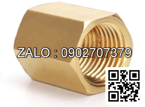 Măng sông ren trong thau DN50