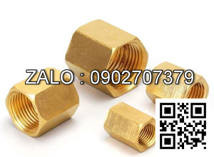 Nối ren trong thau DN40