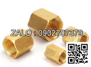 Nối ren trong thau DN100