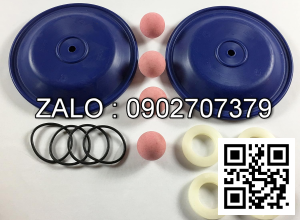 Bi bơm màng FTI FT10-P-PP-RRPR-F1