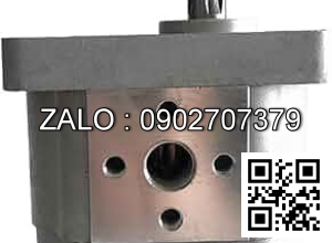 Bơm thủy lực CBW-F304