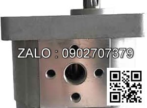 Bơm thủy lực CBW-F306