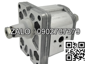 Bơm thủy lực SQP43-60-38-86AA-LH- , 