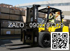 Xe nâng dầu diesel Forklift FD30/FD40