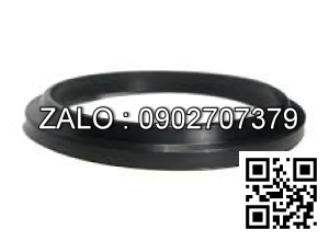 RING,WIPER, P/N: B-30191-30025, TCM  (dung cho xilanh nghieng xe nang dien TCM, Model xe: FB30-8)