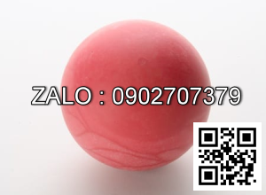 Bi máy bơm sandpiper