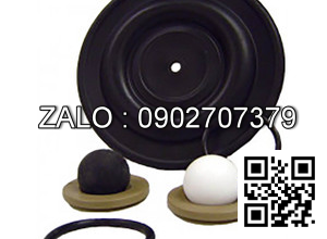 Bi bơm màng FT10V-PP-RRVR-F1