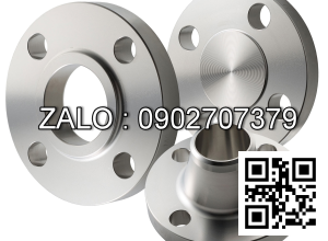 Mặt bích Inox 201 BS4504 DN8