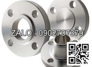 Mặt bích Inox 201 JIS 10K DN1