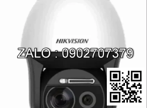 Hikvision DS 2DF8836I5X AELW Dome Camera